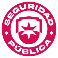 Seguridad Pública