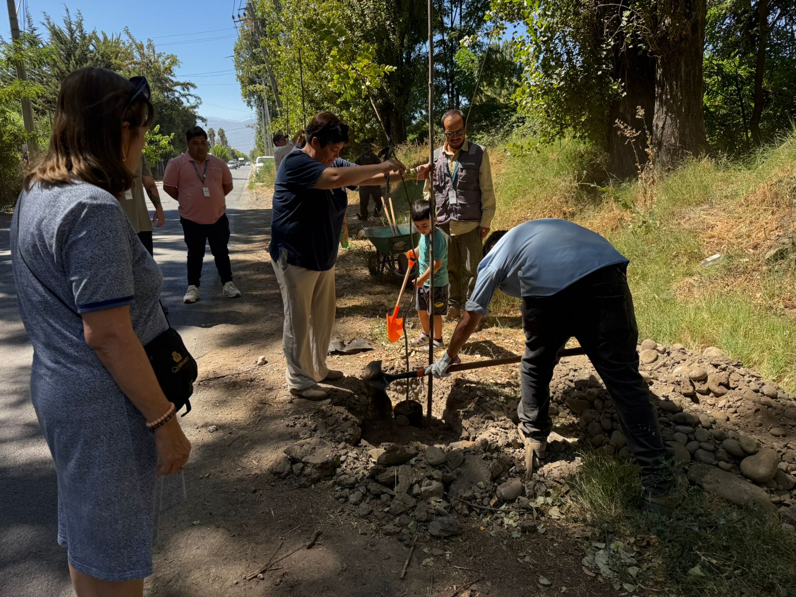 ARBORIZACIÓN RENUEVA CAMINO SANTA JULIA Y FORTALECE ÁREAS VERDES