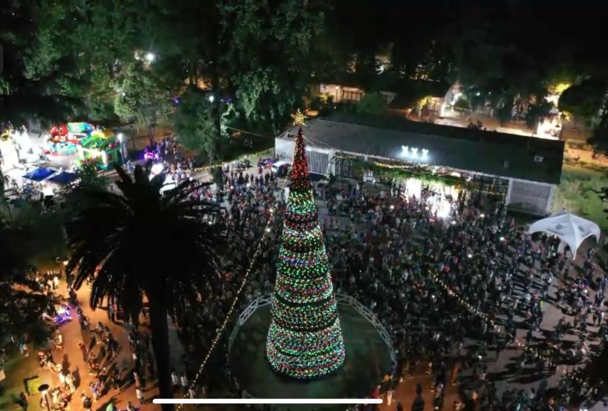 ¡LA NAVIDAD ENCENDIÓ SU MAGIA EN GRANEROS! ✨