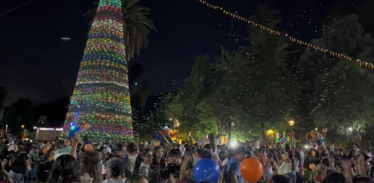 ¡LA NAVIDAD ENCENDIÓ SU MAGIA EN GRANEROS! ✨