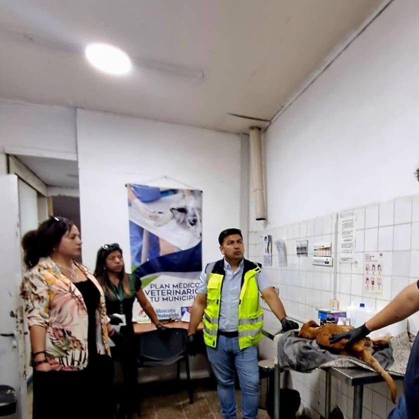 ALCALDE PRESENTA DENUNCIA POR ABANDONO Y MALTRATO ANIMAL