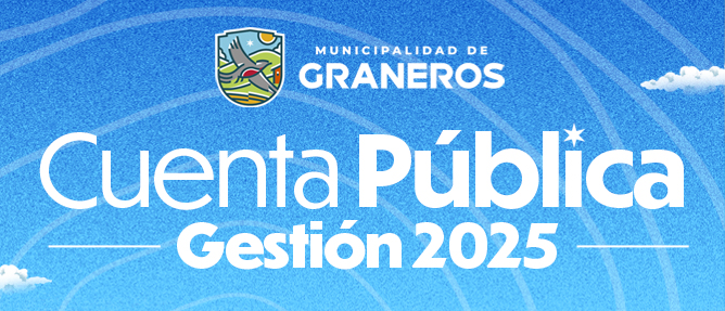 Cuenta Pública