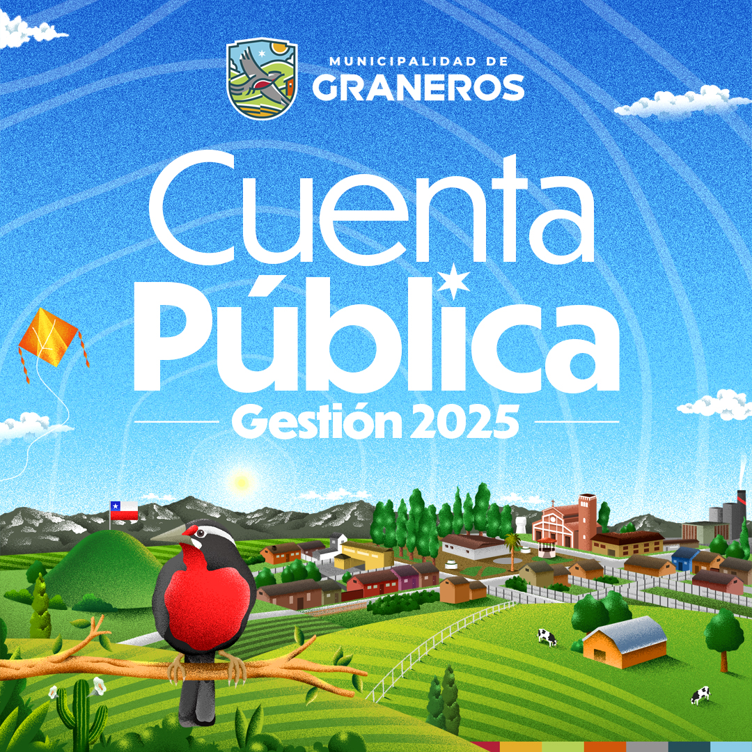 Cuenta Pública
